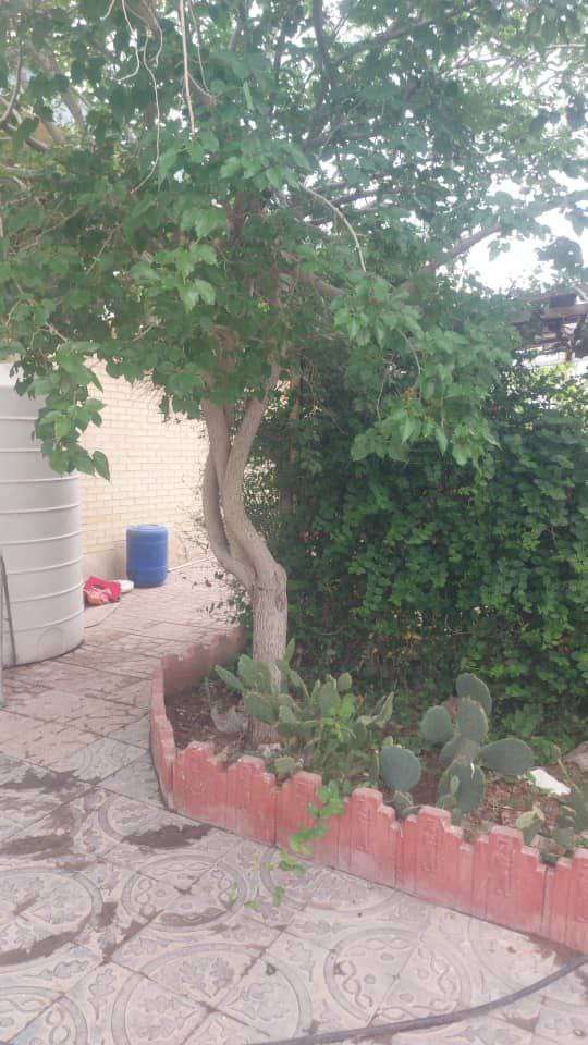 فروش کارخانه تولید نان لواش با پروانه معتبر - شهرک صنعتی خوارزمی 330 متر _ املاک صنعت سوله